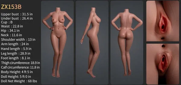 ZELEX SLE Series Silicone Sex Doll Bodies - Single Body(No Head) view 8